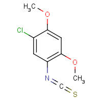 40046-27-3 5-CHLORO-2,4-DIMETHOXYPHENYL ISOTHIOCYANATE chemical structure