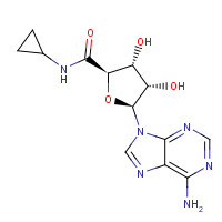 50908-62-8 5'-(N-CYCLOPROPYL)CARBOXAMIDOADENOSINE chemical structure