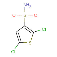 53595-68-9 2,5-Dichlorothiophene-3-sulfonamide chemical structure