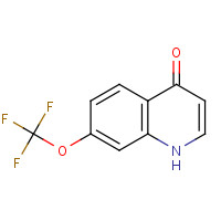 53985-75-4 4-HYDROXY-7-TRIFLUOROMETHOXYQUINOLINE chemical structure