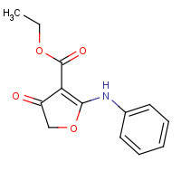 58337-16-9 ETHYL 2-ANILINO-4-OXO-4,5-DIHYDRO-3-FURANCARBOXYLATE chemical structure