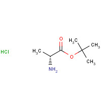 59531-86-1 D-Alanine tert-butyl ester hydrochloride chemical structure