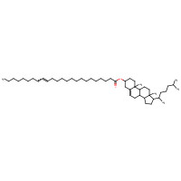 60758-73-8 CHOLESTERYL NERVONATE chemical structure