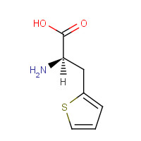 62561-76-6 D-2-THIENYLALANINE chemical structure