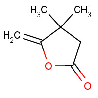 65371-43-9 4,4-DIMETHYL-5-METHYLENE-GAMMA-BUTYROLACTONE chemical structure