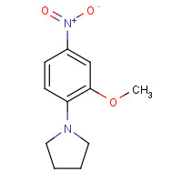 67828-57-3 1-(2-METHOXY-4-NITROPHENYL)PYRROLIDINE chemical structure