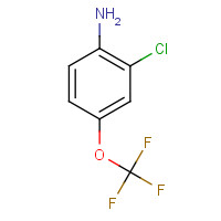 69695-61-0 2-CHLORO-4-(TRIFLUOROMETHOXY)ANILINE chemical structure