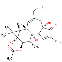 70470-59-6 PHORBOL 12-MONOACETATE,4BETA chemical structure