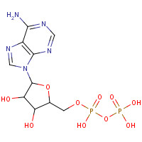 72696-48-1 ADENOSINE 5'-DIPHOSPHATE MONOPOTASSIUM SALT chemical structure