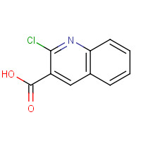 73776-25-7 2-CHLORO-3-QUINOLINECARBOXYLIC ACID chemical structure