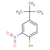 74752-38-8 4-TERT-BUTYL-2-NITROBENZENETHIOL chemical structure
