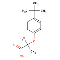 76674-58-3 2-[4-(TERT-BUTYL)PHENOXY]-2-METHYLPROPANOIC ACID chemical structure