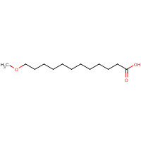 92169-28-3 12-METHOXYDODECANOIC ACID chemical structure