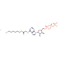102185-24-0 N6-([6-AMINOHEXYL]CARBAMOYL-METHYL)ADENOSINE 5'-TRIPHOSPHATE LITHIUM SALT chemical structure