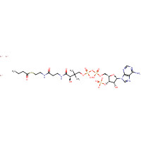 102282-28-0 N-BUTYRYL COENZYME A LITHIUM SALT chemical structure