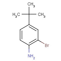 103273-01-4 2-BROMO-4-TERT-BUTYLANILINE chemical structure