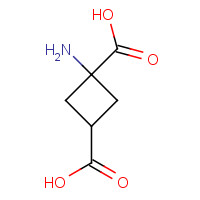 117488-23-0 1-AMINOCYCLOBUTANE-CIS-1,3-DICARBOXYLIC ACID chemical structure
