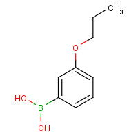 149557-18-6 3-PROPOXYPHENYLBORONIC ACID chemical structure