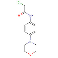 170655-46-6 2-CHLORO-N-(4-MORPHOLIN-4-YL-PHENYL)-ACETAMIDE chemical structure