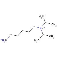 209803-40-7 5-(DIISOPROPYLAMINO)AMYLAMINE chemical structure