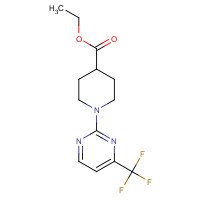 215654-84-5 ETHYL 1-[4-(TRIFLUOROMETHYL)PYRIMIDIN-2-YL]PIPERIDINE-4-CARBOXYLATE chemical structure