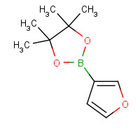 248924-59-6 3-Furanboronic acid pinacol ester chemical structure