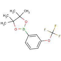 262376-31-8 3-(TRIFLUOROMETHOXY)PHENYLBORONIC ACID,PINACOL ESTER chemical structure
