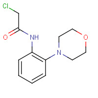 303151-23-7 2-CHLORO-N-(2-MORPHOLIN-4-YL-PHENYL)-ACETAMIDE chemical structure