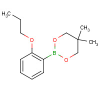 346656-34-6 2-(2-CARBETHOXYPHENYL)-5,5-DIMETHYL-1,3,2-DIOXABORINANE chemical structure