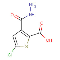 351983-31-8 5-CHLORO-2-THIOPHENECARBOXYLIC ACID HYDRAZIDE chemical structure