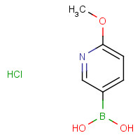 370864-57-6 2-Methoxy-5-pyridineboronic acid hydrochloride chemical structure