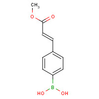 380430-58-0 [4-(E-3-METHOXY-3-OXO-1-PROPEN-1-YL)PHENYL]BORONIC ACID chemical structure