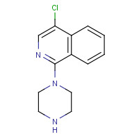 401567-94-0 4-CHLORO-1-(PIPERAZIN-1-YL)ISOQUINOLINE chemical structure