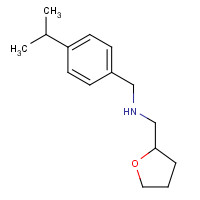 436096-82-1 (4-ISOPROPYL-BENZYL)(TETRAHYDROFURAN-2-YL-METHYL)AMINE chemical structure