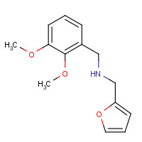 436086-81-6 (2,3-DIMETHOXY-BENZYL)-FURAN-2-YLMETHYL-AMINE chemical structure