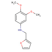 436088-80-1 (3,4-DIMETHOXY-PHENYL)-FURAN-2-YLMETHYL-AMINE chemical structure