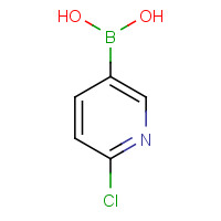 444120-91-6 2-Chloropyridine-5-boronic acid chemical structure