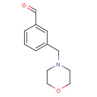 446866-83-7 3-(MORPHOLINOMETHYL)BENZALDEHYDE chemical structure