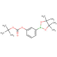 480438-74-2 TERT-BUTYL-3-(4,4,5,5-TETRAMETHYL-1,3,2-DIOXABOROLAN-2-YL)PHENYL CARBONATE chemical structure