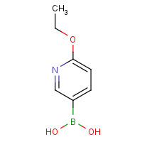 612845-44-0 (6-ETHOXYPYRIDIN-3-YL)BORONIC ACID chemical structure