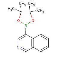 685103-98-4 4-Isoquinolineboronic acid pinacol ester chemical structure