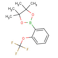 832114-04-2 2-(TRIFLUOROMETHOXY)PHENYLBORONIC ACID,PINACOL ESTER chemical structure