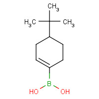 850567-91-8 4-TERT-BUTYL-1-CYCLOHEXEN-1-YLBORONIC ACID chemical structure