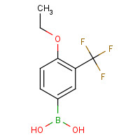 871329-83-8 4-ETHOXY-3-(TRIFLUOROMETHYL)BENZENEBORONIC ACID chemical structure