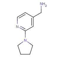 876316-38-0 (2-PYRROLIDIN-1-YLPYRID-4-YL)METHYLAMINE chemical structure
