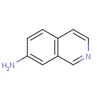 23707-37-1 7-Aminoisoquinoline chemical structure