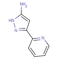 92352-29-9 5-PYRIDIN-2-YL-2H-PYRAZOL-3-YLAMINE chemical structure