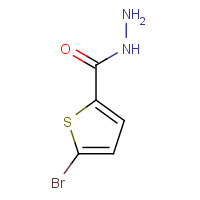 98027-27-1 5-Bromothiophene-2-carbohydrazide chemical structure