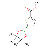 916138-13-1 5-METHOXYCARBONYLTHIOPHENE-2-BORONIC ACID PINACOL ESTER chemical structure