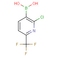 205240-63-7 2-Trifluoromethyl-6-chloro-5-pyridineboric acid chemical structure